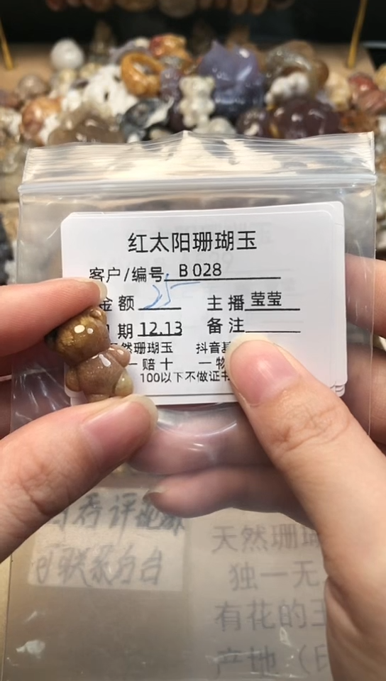 【闪购商品】硅化珊瑚（珊瑚玉）颈饰未镶嵌028