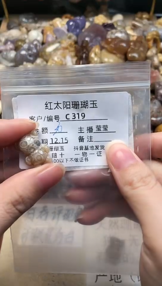 【闪购商品】硅化珊瑚（珊瑚玉）颈饰未镶嵌319