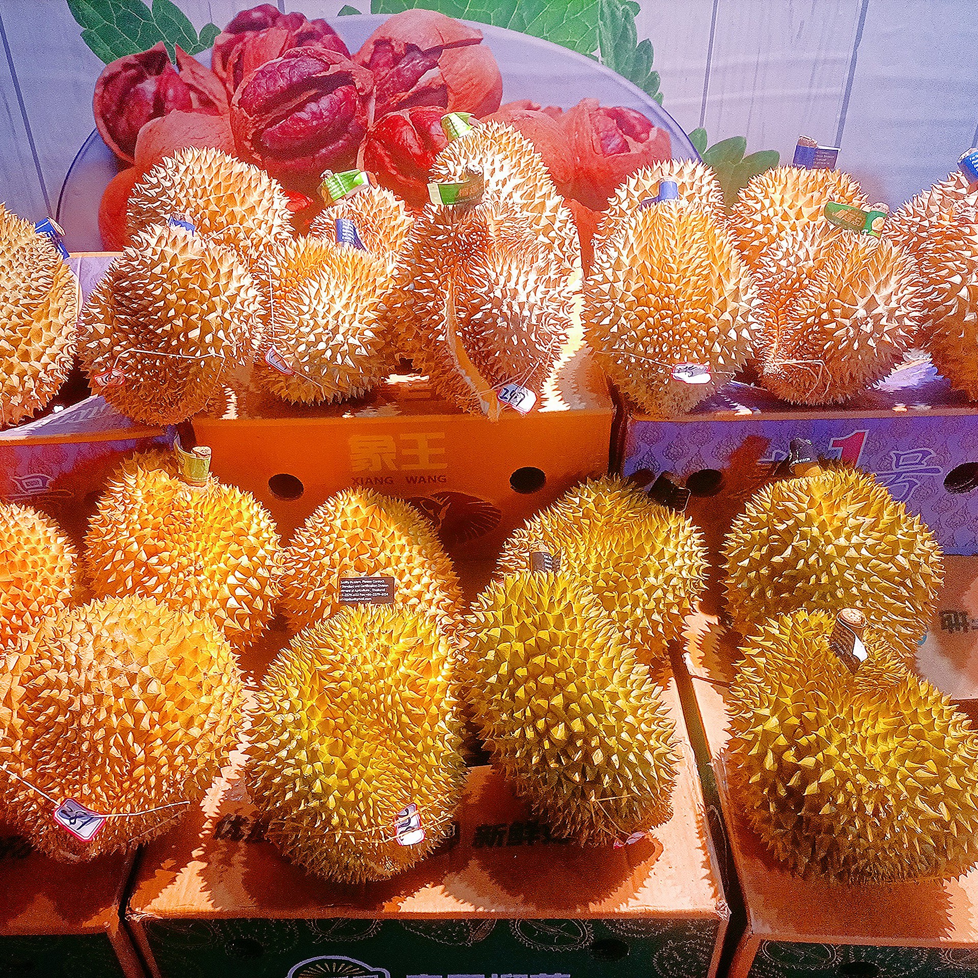 5斤到6斤陆运树上熟小脆皮干包金枕榴莲