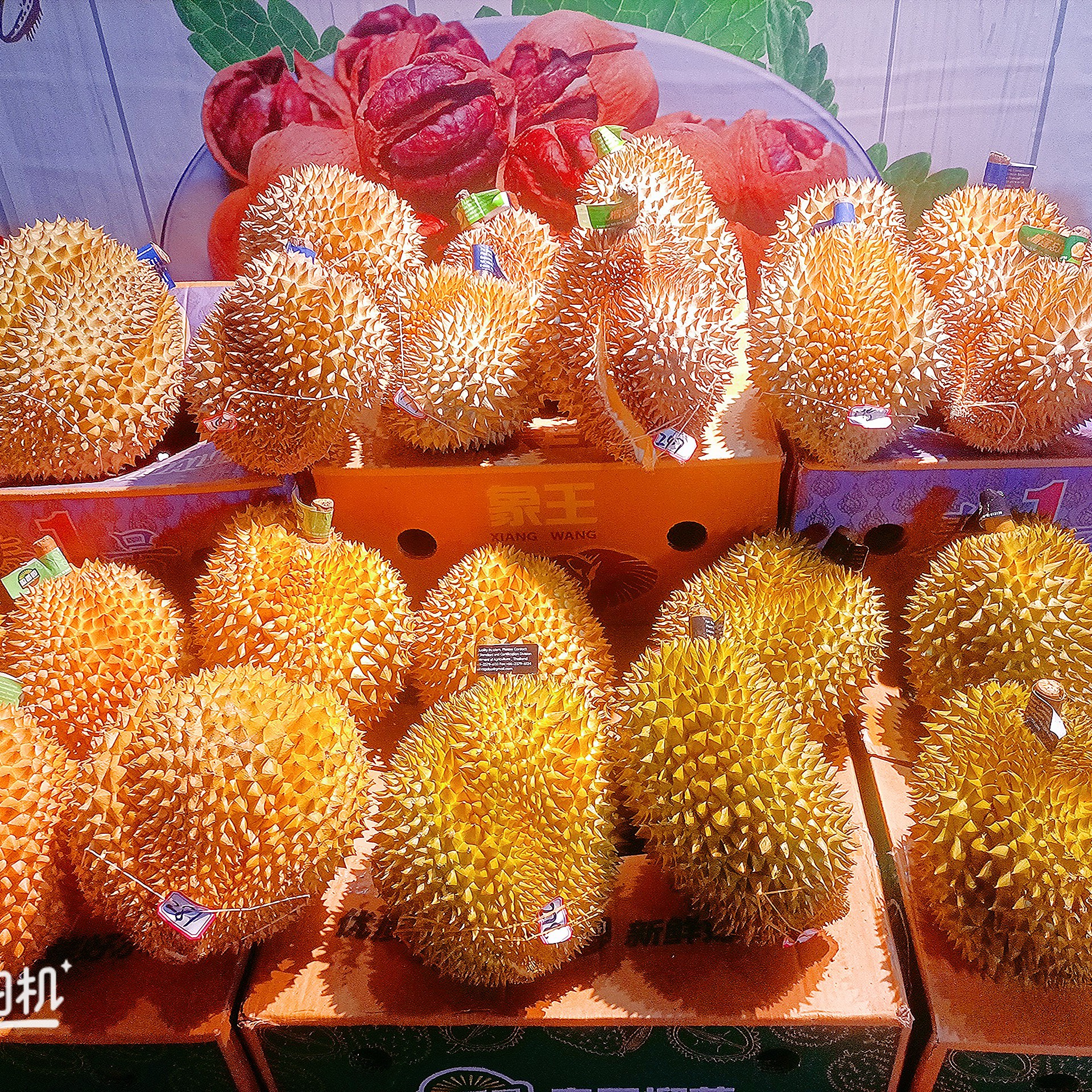 4斤-5斤【陆运树上熟干包果肉金枕榴莲（一物一拍）