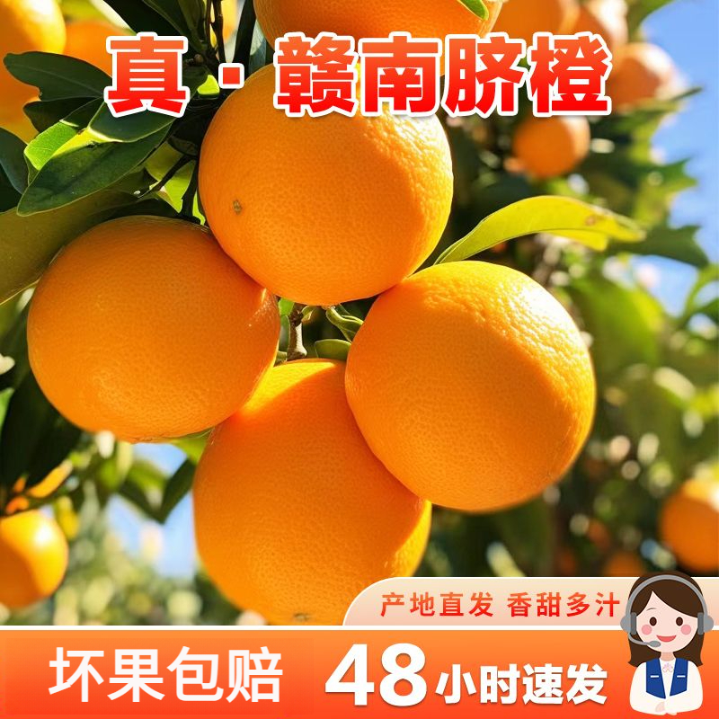 正宗赣南脐橙新鲜孕妇水果手剥薄皮褚甜橙子整箱现摘现发香甜多汁