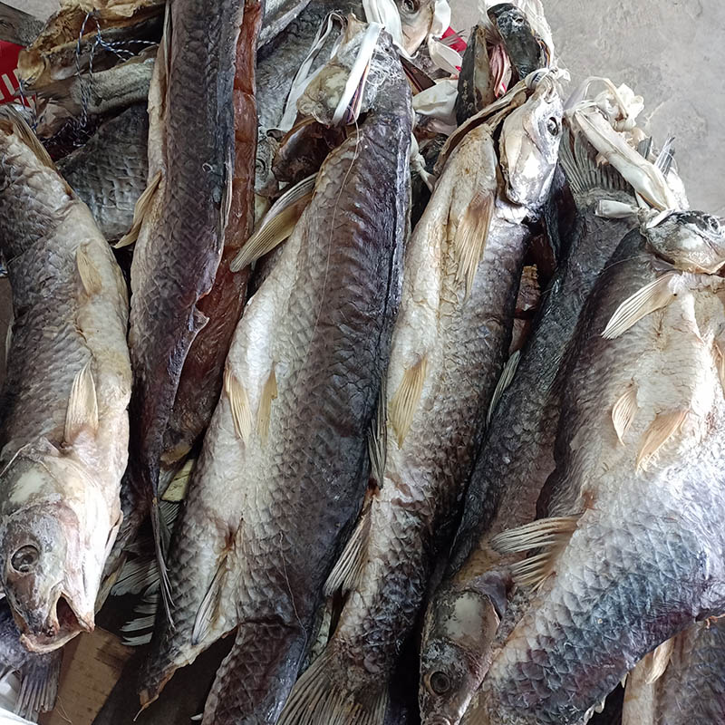 【皖农粮】安徽特产草鱼干腊鱼干厚鱼肉块500g起