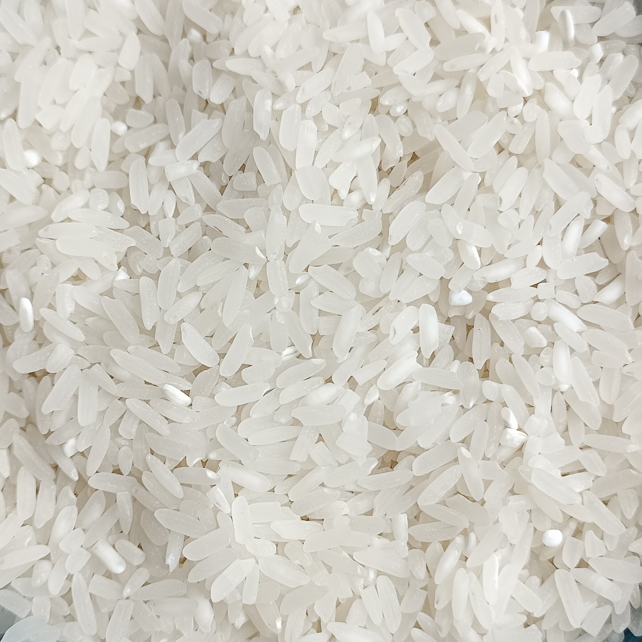 2025年贵州遵义农家种植大米品种(宜香优2115)新米5斤起包邮