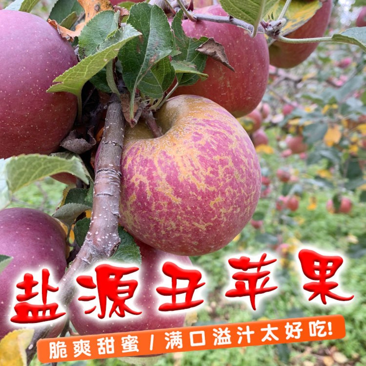 【达人专属】四川大凉山盐源丑苹果农产品脆甜老少皆宜果香肉厚清脆