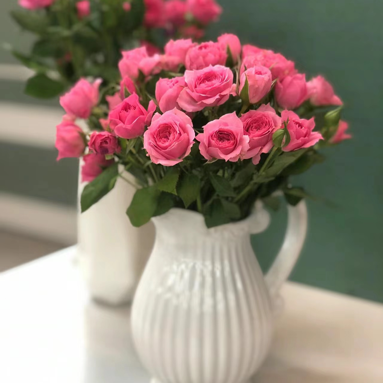 苏菲宝贝  多头玫瑰5枝