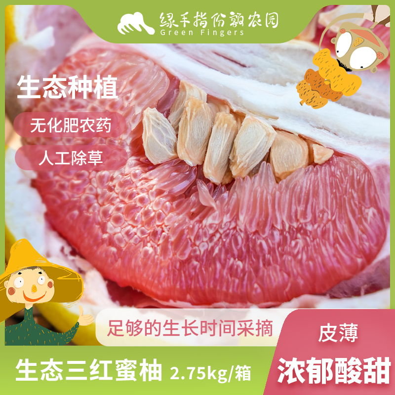 生态红心蜜柚 3kg 绿手指有机农园