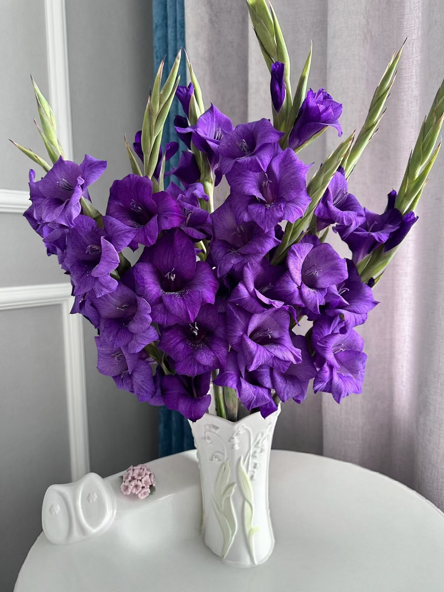 深紫色剑兰5支/10支   云南基地鲜花  直发   家养水养