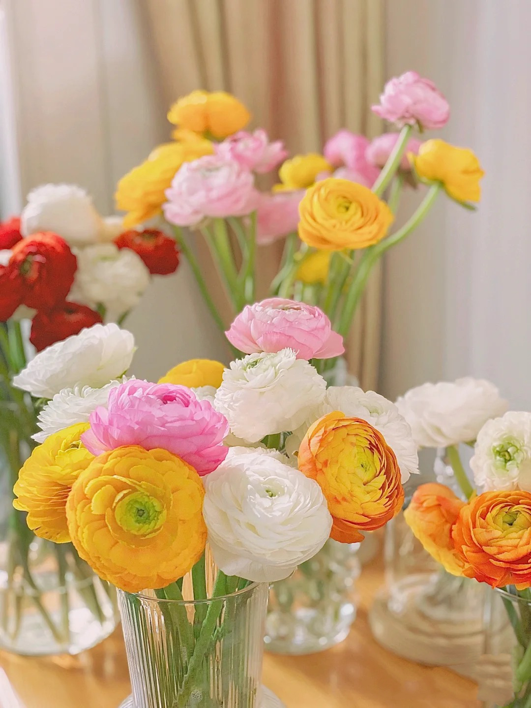 【源头一手价】随机混色洋牡丹一把 应季热门花材花瓣层层叠叠 鲜花