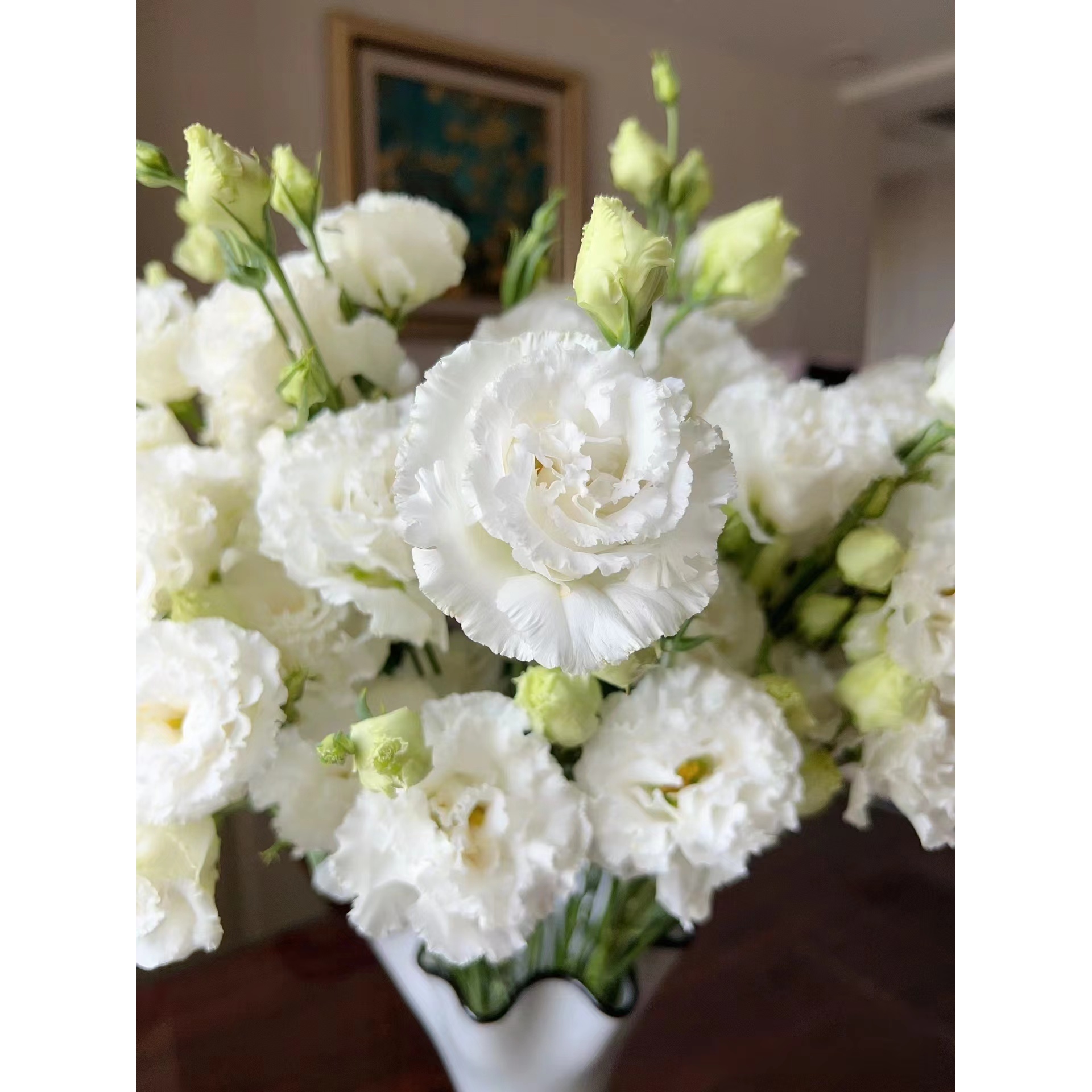 【买一送一】波浪白洋桔梗一大把   云南基地  鲜花直发   水养家养