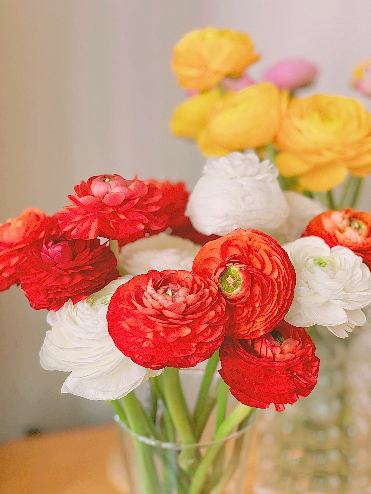 【源头一手价】随机3色洋牡丹3把应季热门花材花瓣层层叠叠一件包邮