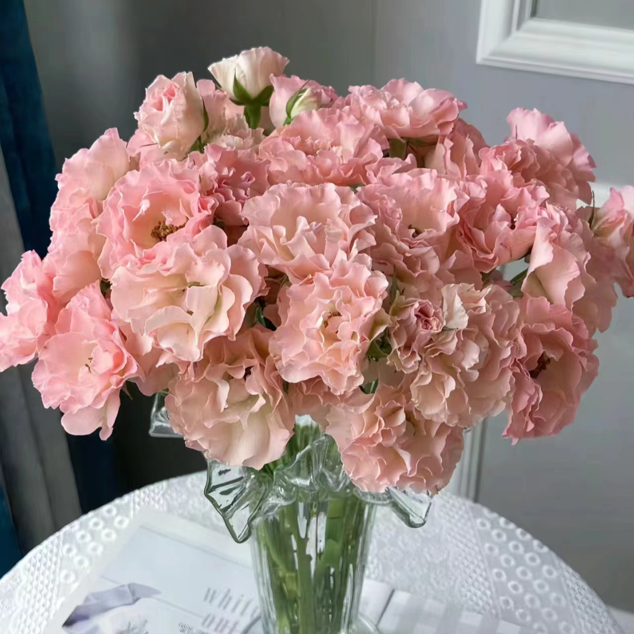 【买一送一】小头单头人鱼公主泡泡10支 多头玫瑰 云南鲜花家养水养