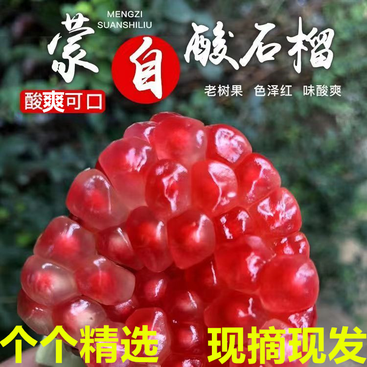 现摘正宗云南老树酸石榴酸甜石榴可药用泡酒孕妇新鲜水果坏果包赔
