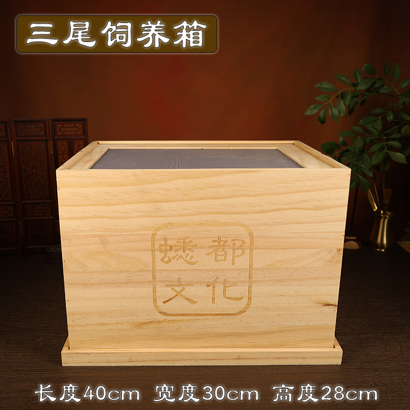 母蟋蟀蛐蛐蟋蟀三尾妹子箱笼饲群养繁殖木格产卵盒实木饲养一体箱