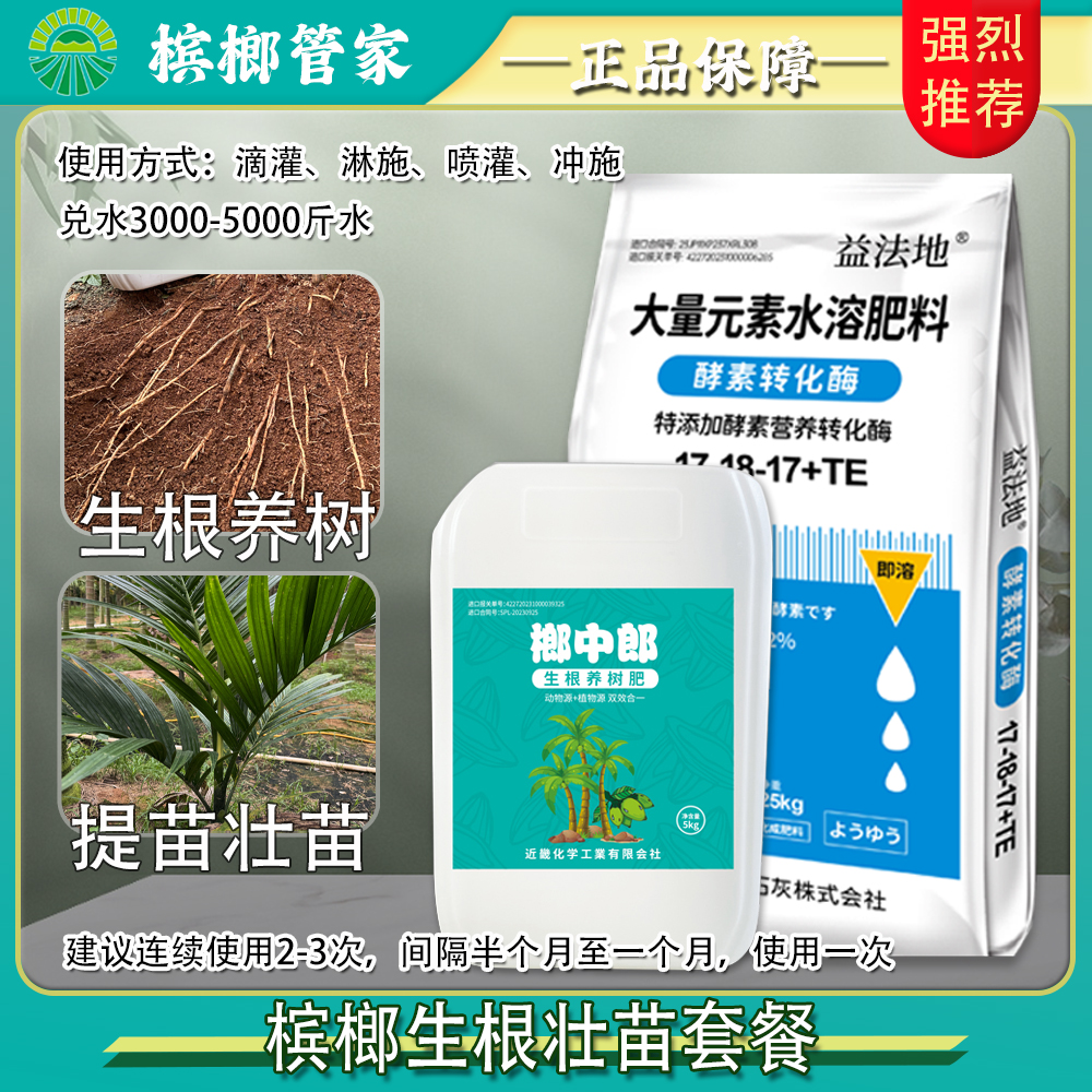 【槟榔生根养树壮苗套餐】壮根壮树改土生根预防黄化叶片厚绿