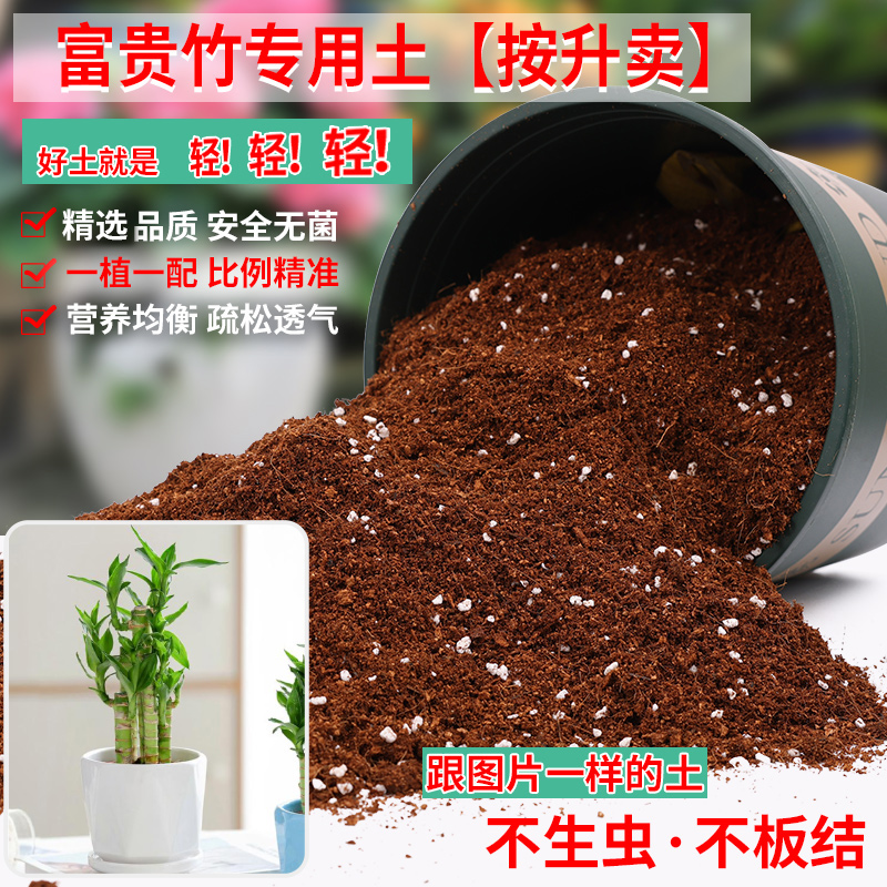 富贵竹专用土富贵竹土盆栽肥料花泥土营养土通用种植土壤养花种花