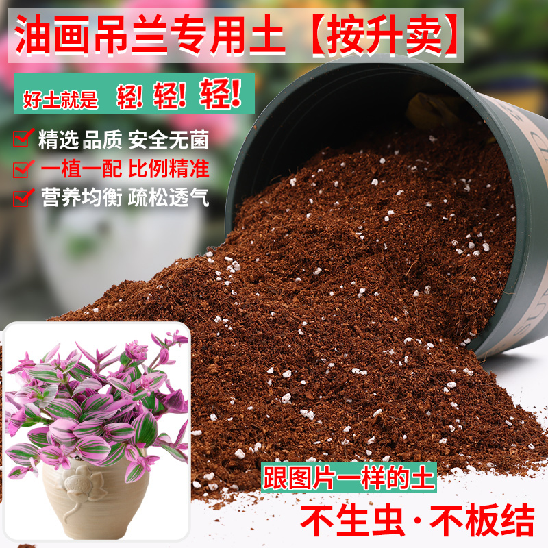 油画吊兰专用土紫罗兰专用营养土养花种花泥土通用盆栽肥料颗粒土