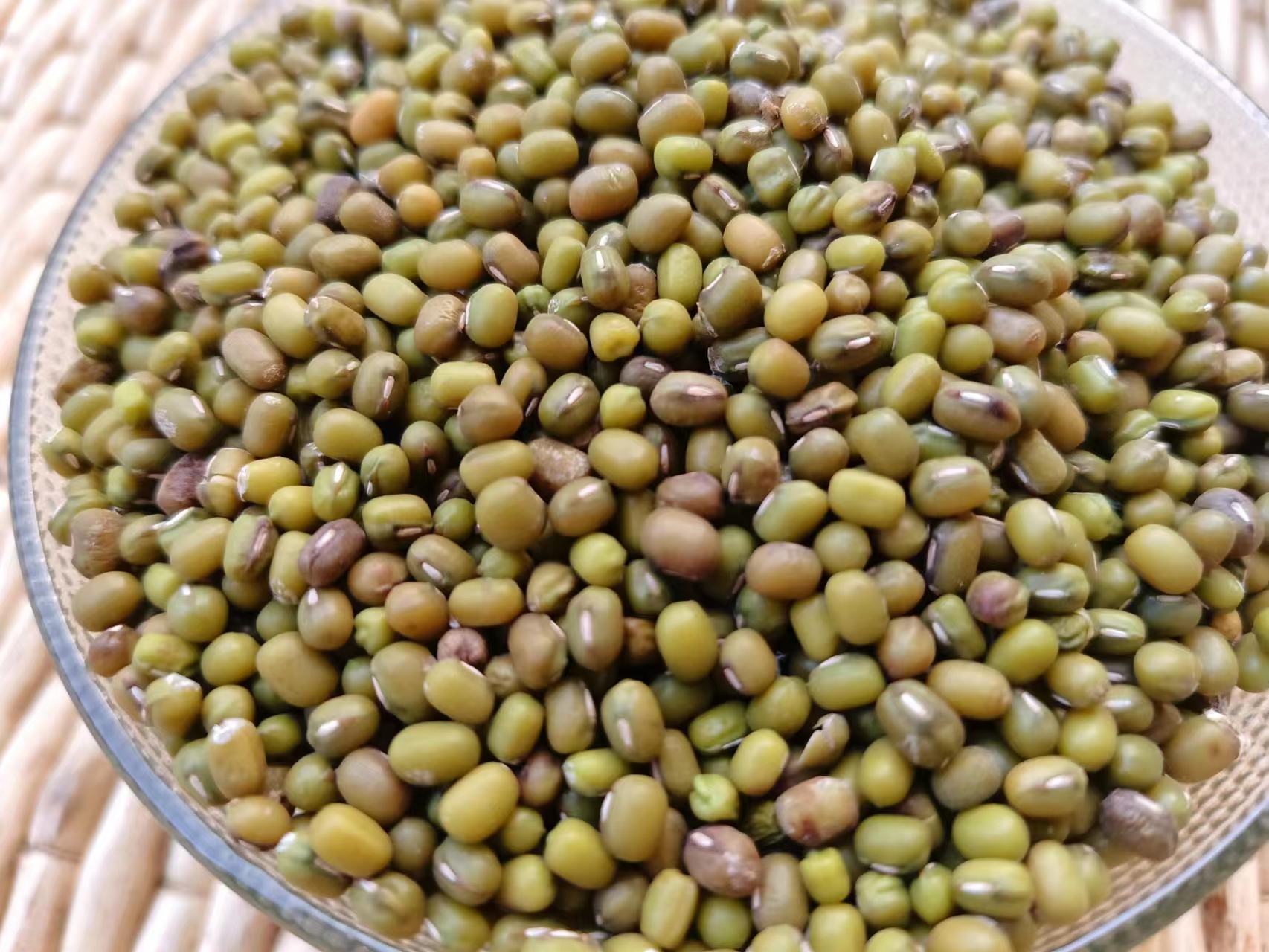 农家自家种植绿豆新鲜大绿豆