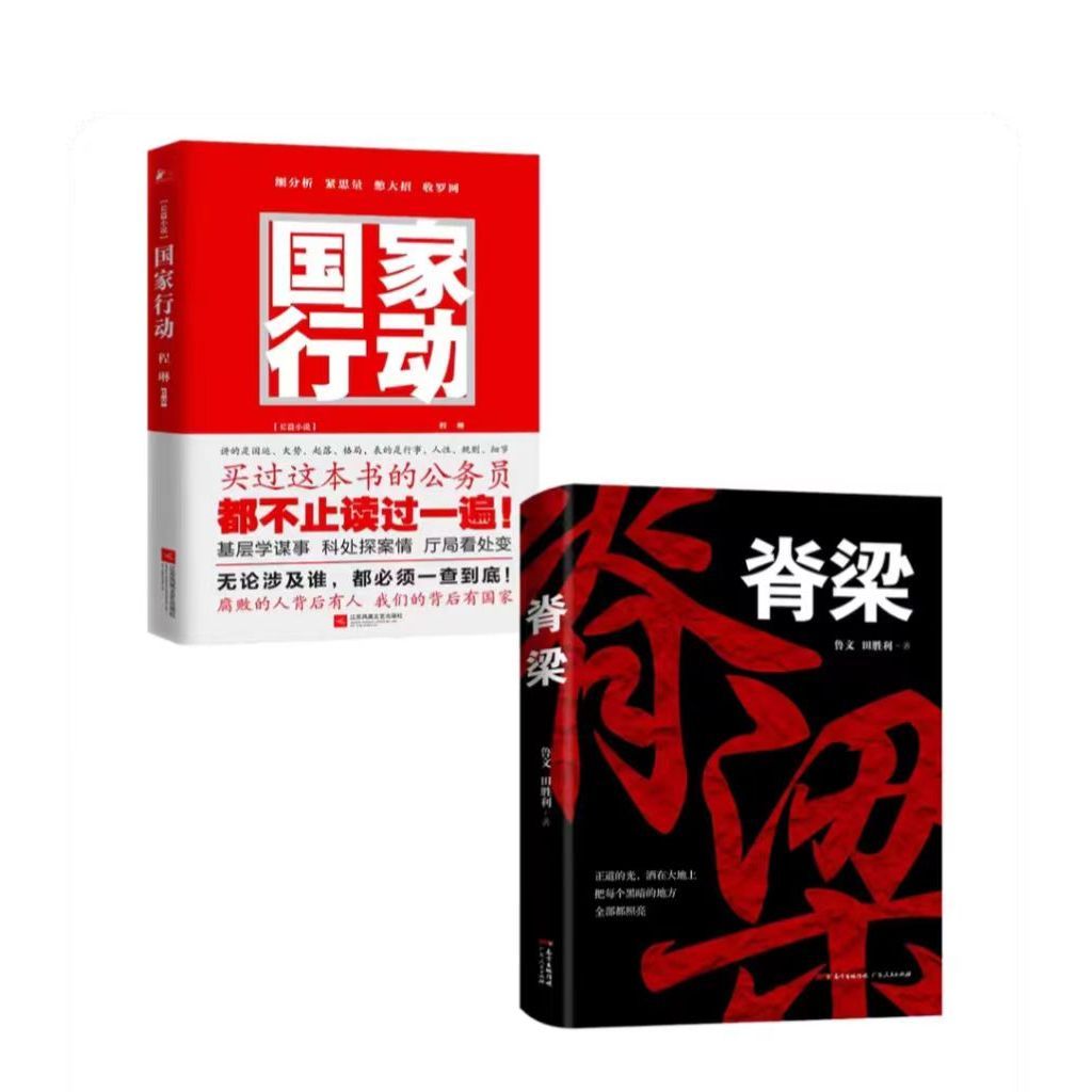脊梁+国家行动电视剧张译主演长篇反腐刑侦官场小说人民的名义