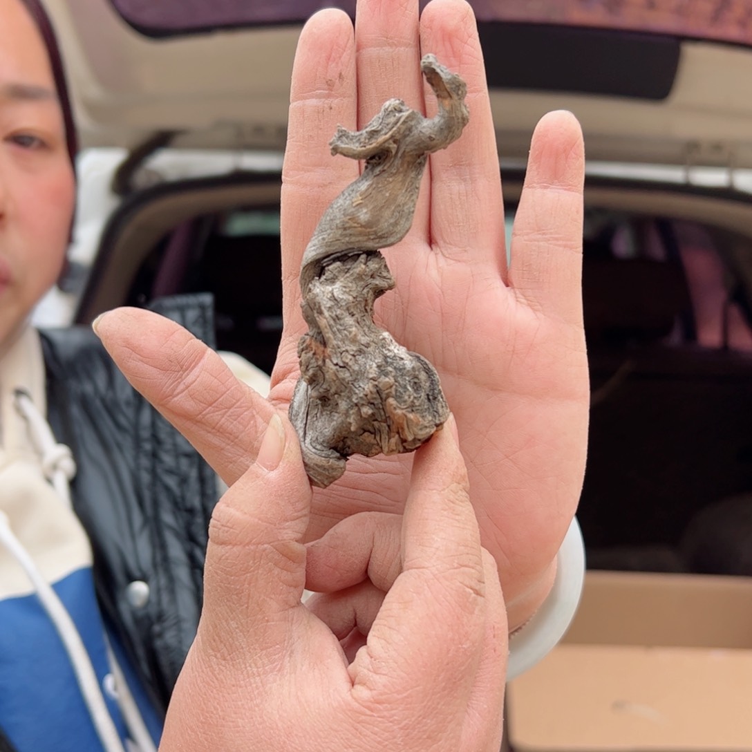 柏木（崖柏）心**飞