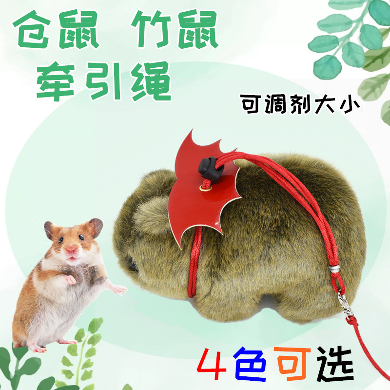 仓鼠牵引绳背心式可爱翅膀外带竹鼠绳子荷兰猪溜溜绳刺猬龙猫脖套