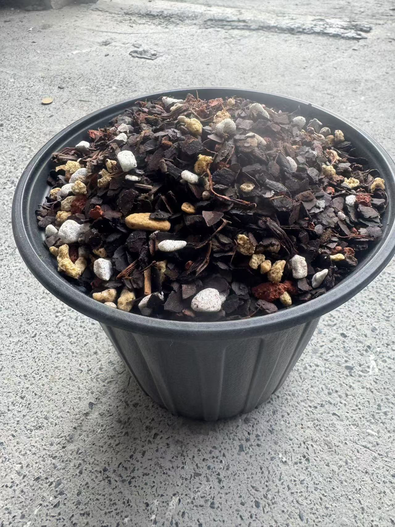 兰花专用植料，促花发芽生根快