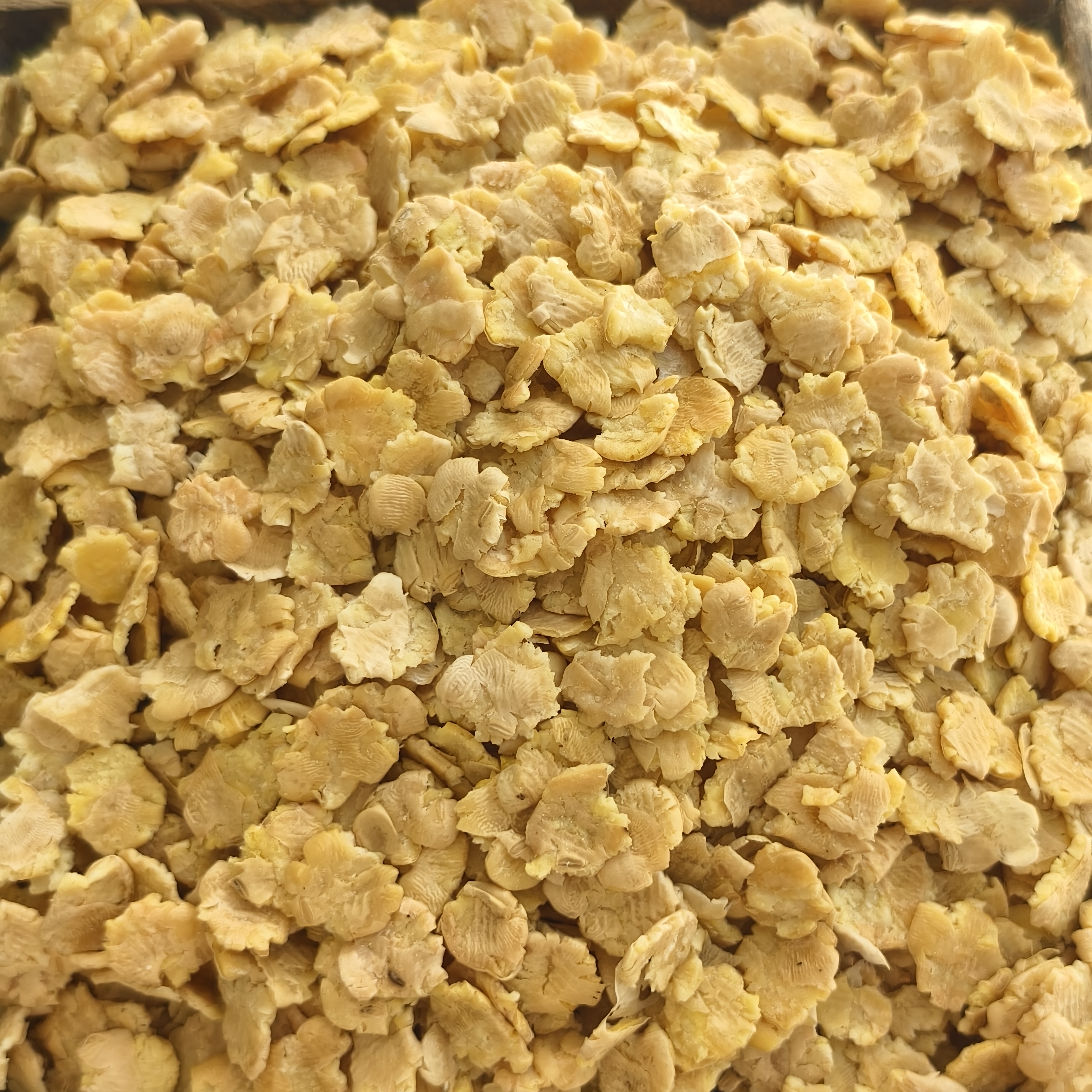 【陕北飞龙】黄豆钱钱（直播间钱字不显示会屏蔽，可以打成签）