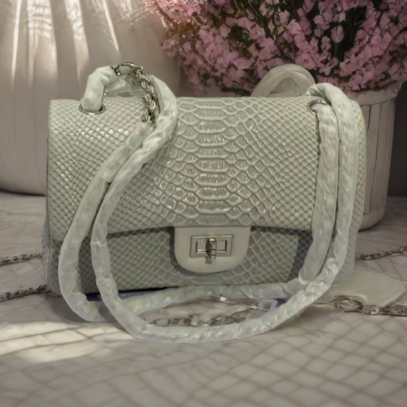 时尚女士斜跨单肩手拎包