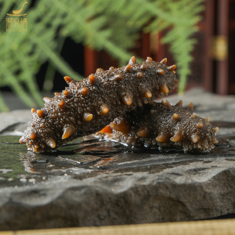 深交情高品质冷冻即食海参肉质鲜美好吃50-56只（每根5-8cm）