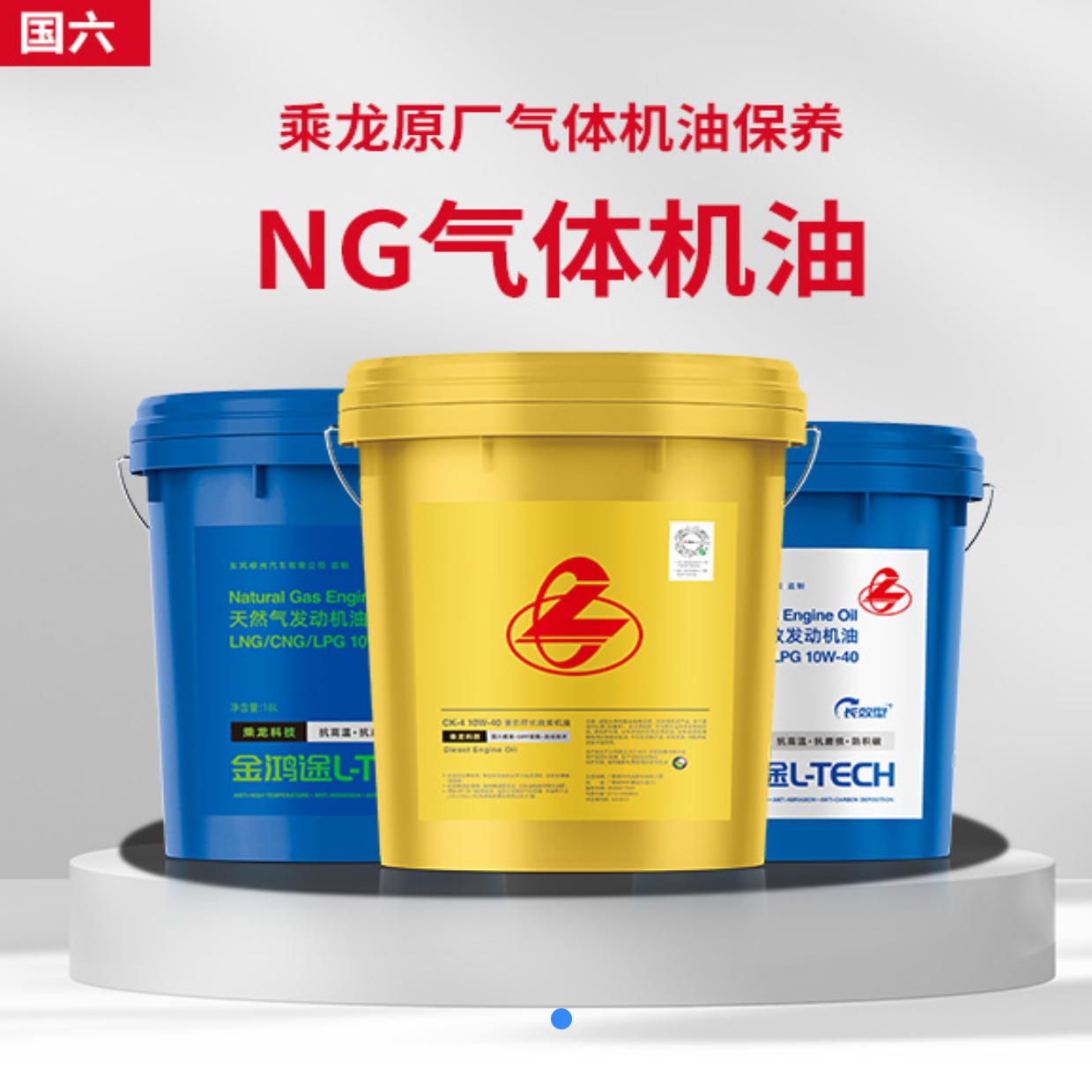 1次乘龙原厂NG气体机油保养券-国六