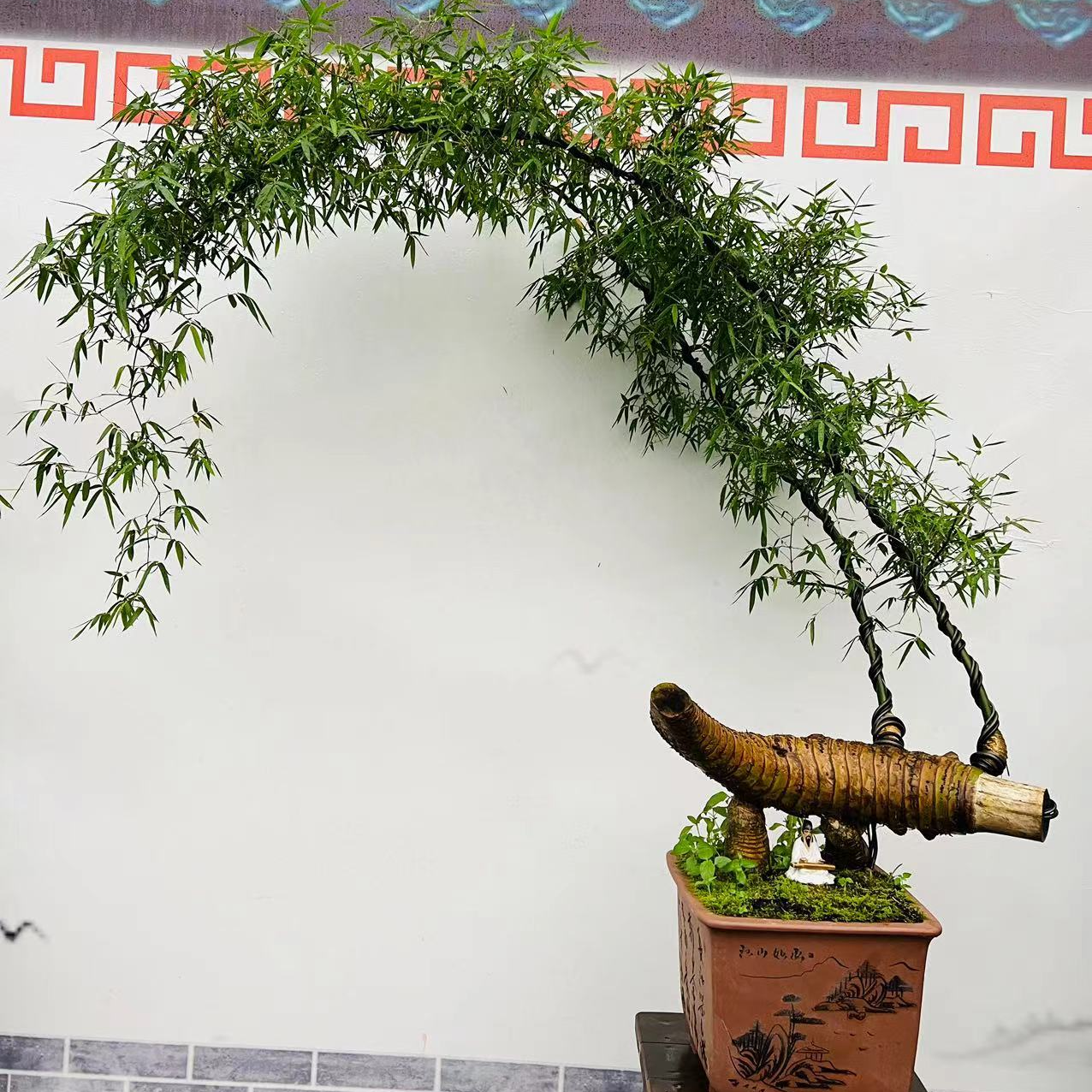 (江夏)小叶簕竹意境盆景