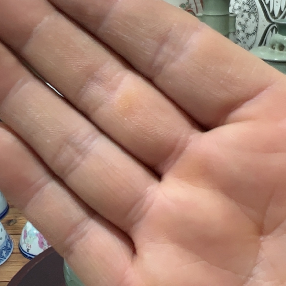 【闪购商品】密胺瓷片港****饰