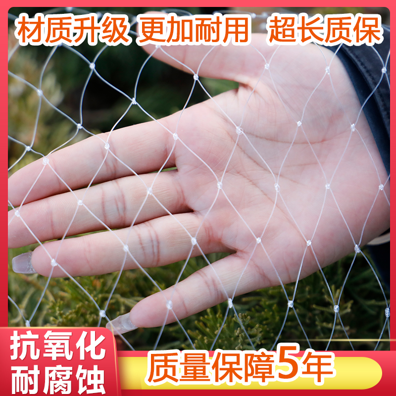 专业果树防鸟用的网防鸟定制尼龙丝网葡萄大棚果园用网养殖天网