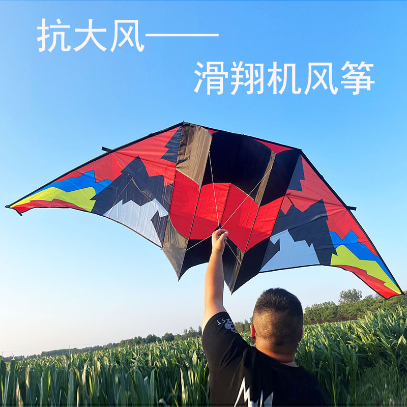 新款大型滑翔机风筝成人专用微风易飞长尾高档网红批发树脂杆