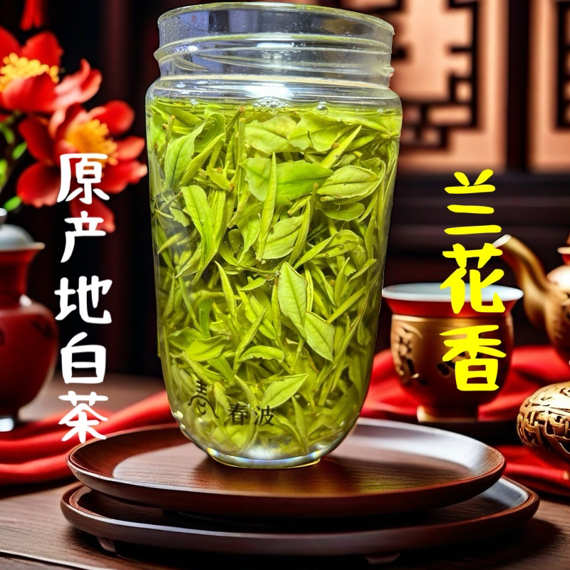 2025新茶白茶（B458兰香型）高山原产地浙江白茶明前嫩芽绿茶茶叶