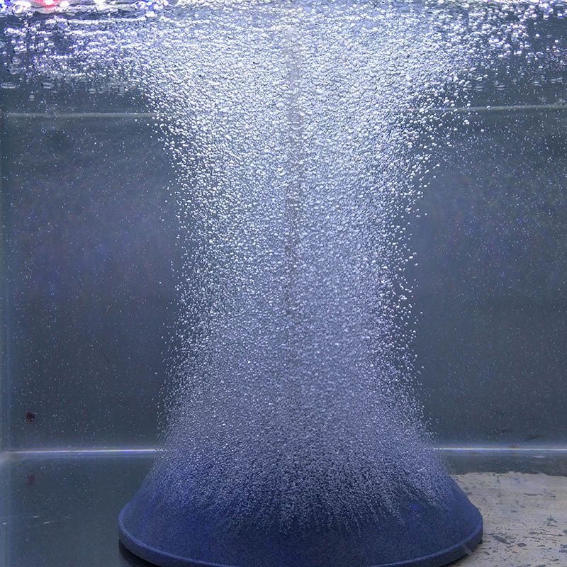 鱼缸增氧气泡石增氧气盘氧气头沙盘气石氧气泵气盘石氧气头耐用