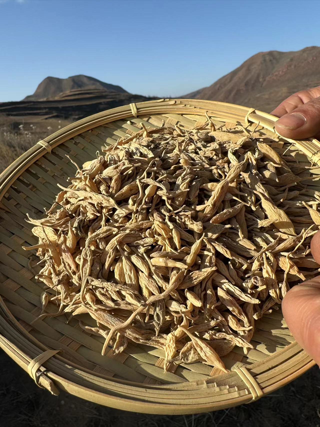 大山多年生老麦冬250克-500克