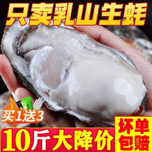 乳山新鲜生蚝鲜活生蚝特大海蛎子海鲜水产贝类批发包邮即食现捕
