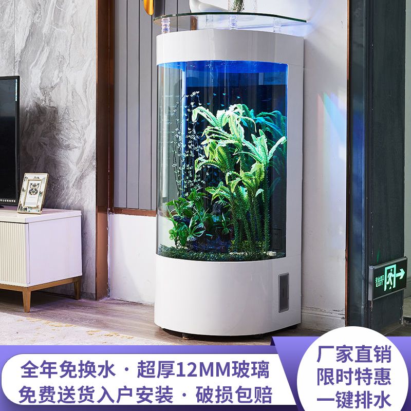 【小扬哥推荐】乔乔水族轻奢现代半圆形鱼缸客厅免打理家用玻璃金鱼