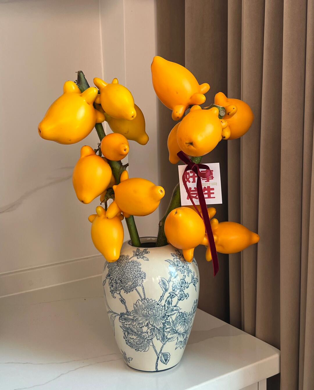 五代同堂果 福禄果 黄金果  超长花期 室内插花
