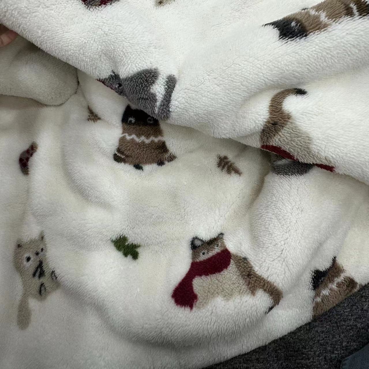 【直播间实物为准】小猫被温暖居家毛毯加绒床上牛奶绒午睡