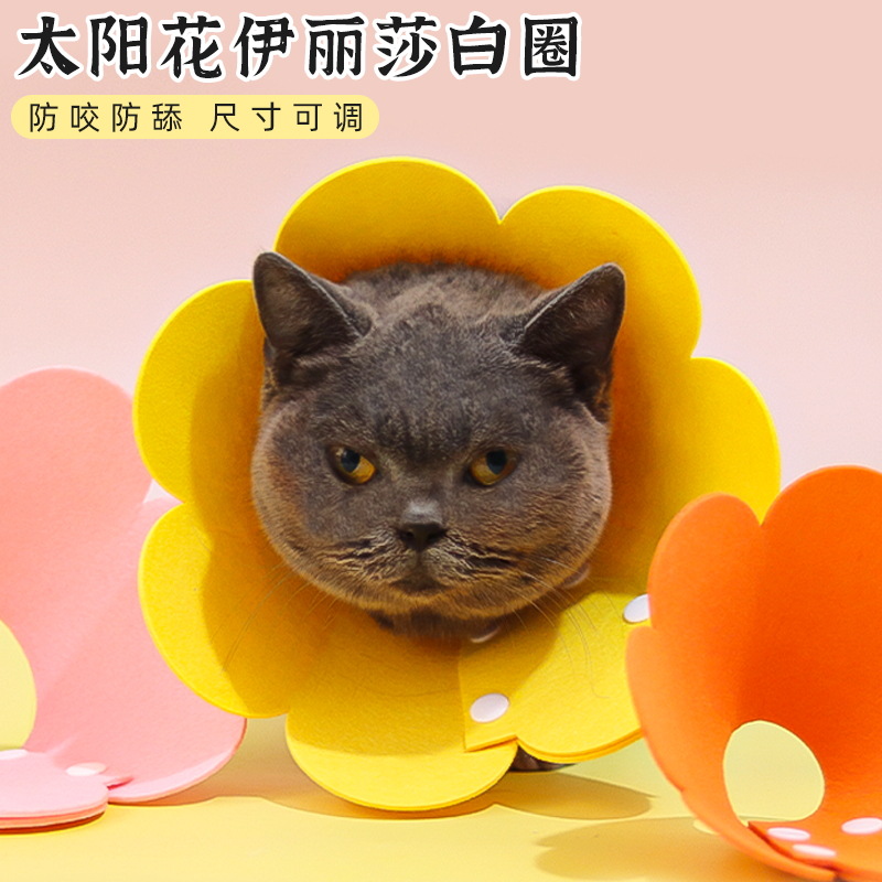 伊丽莎白圈猫咪绝育项圈伊利沙白圈防舔颈圈头套狗狗脖圈宠物用品