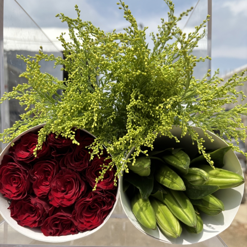 玫瑰5枝+百合5个花苞+送配草 云南昆明鲜花产地直发