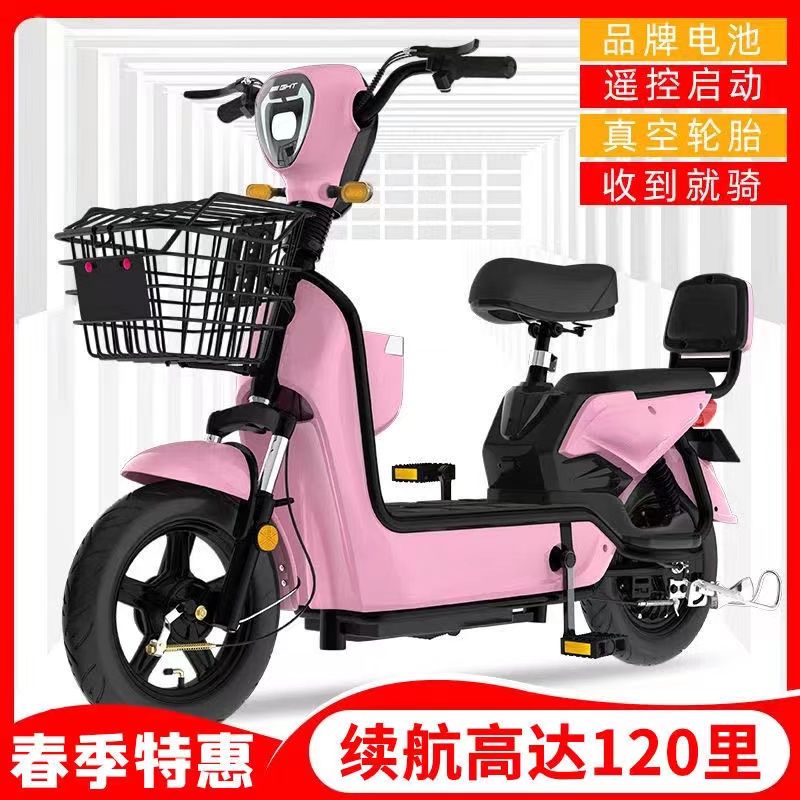 2024新款国标电动车成人男女电动自行车可上牌电瓶车长续航厂发