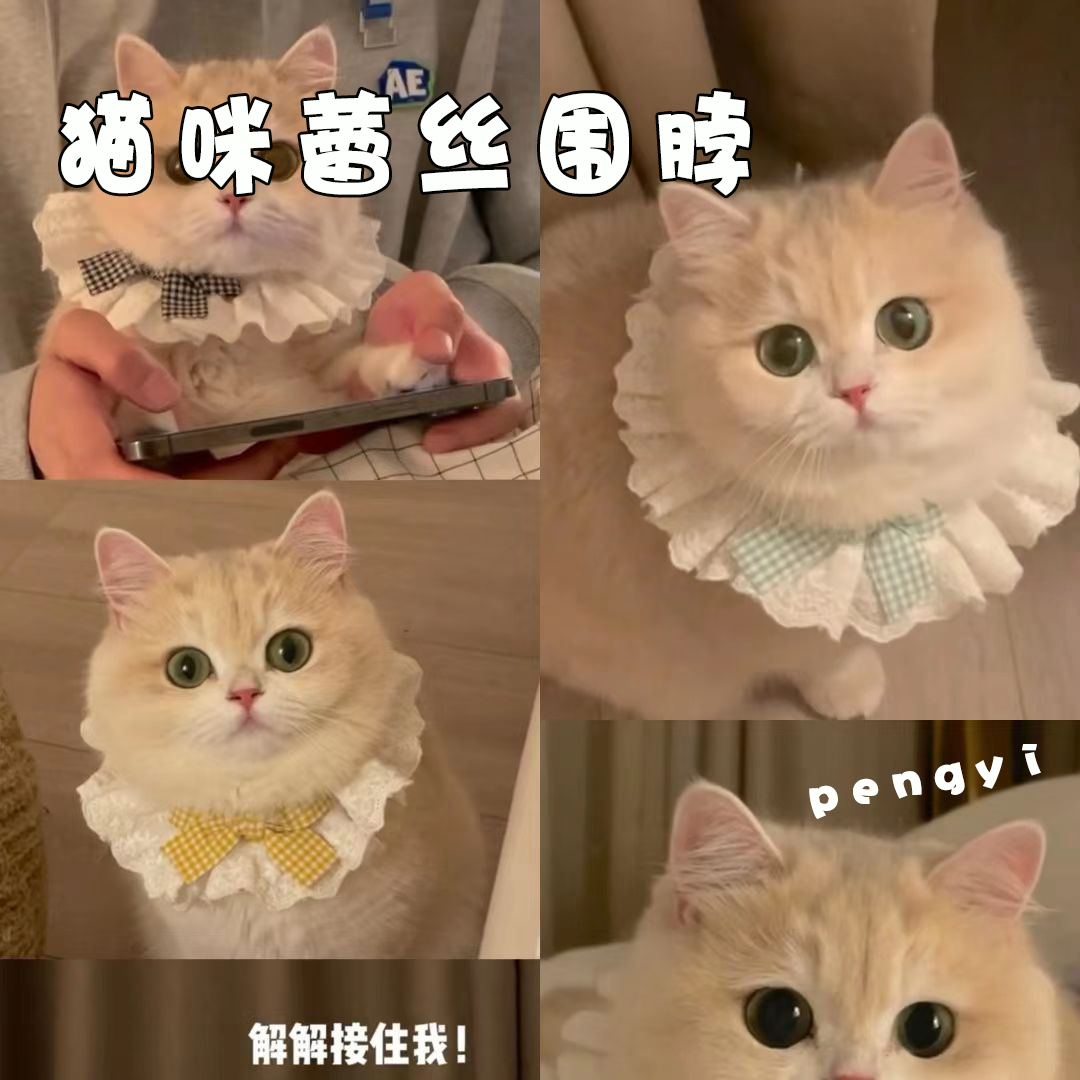 猫咪蕾丝围脖项圈口水巾宠物仙女幼小布偶猫衣服装饰狗狗围兜饰品