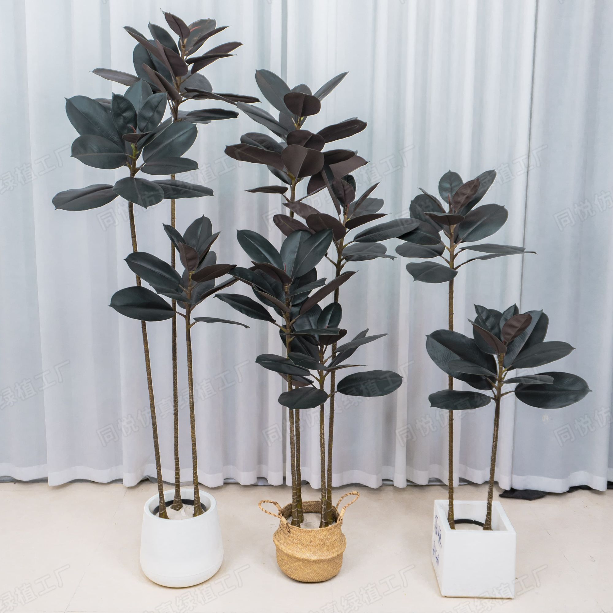 仿真黑金刚橡皮树网红室内落地摆件客厅北欧ins现代盆栽软装