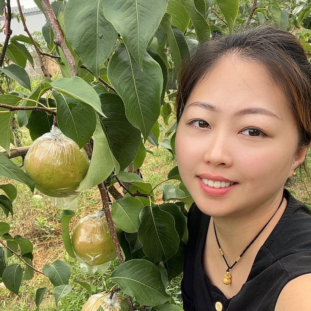 山西隰县玉露香梨酥脆清甜多汁【微瑕疵介意勿拍】