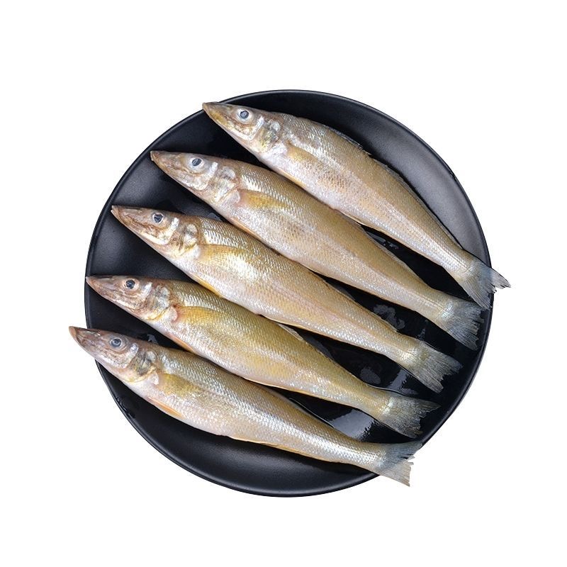北海野生海捕沙丁鱼/沙占鱼