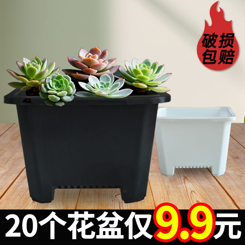 小号多肉老桩群韩式景天花盆控根黑色塑料加厚白色大口径方盆