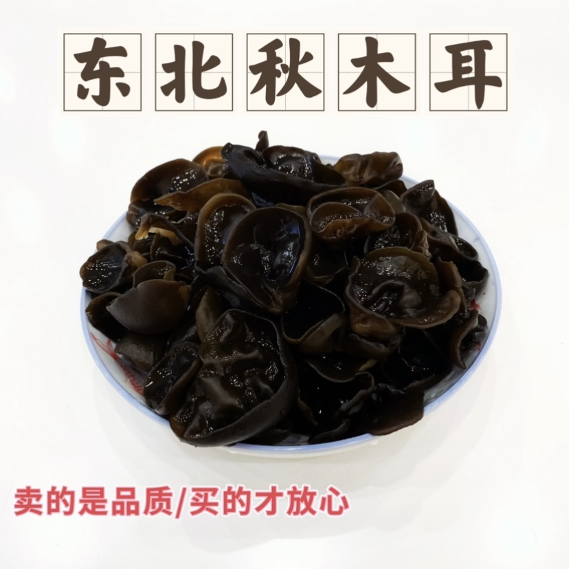 【小马歌专属】正宗东北野生秋木耳