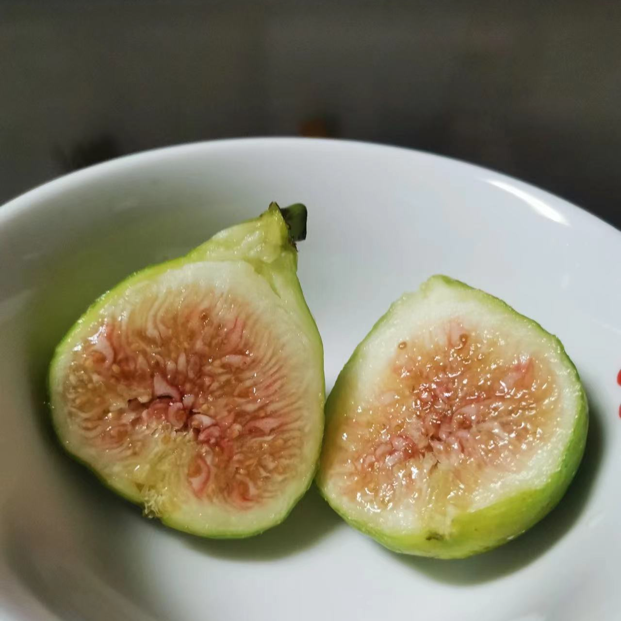 绿早无花果B110 长势旺盛 苗太高 发货前剪一刀